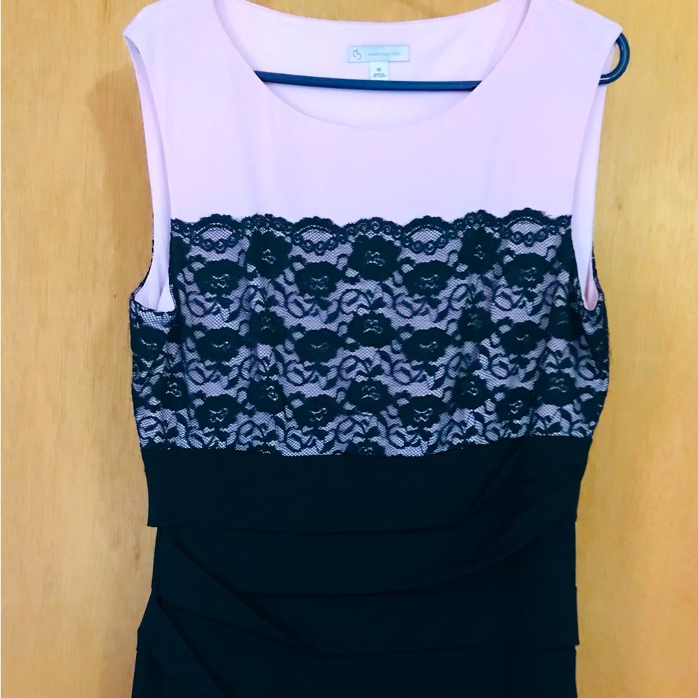 DressBarn Dress